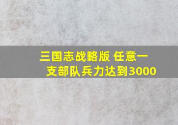 三国志战略版 任意一支部队兵力达到3000